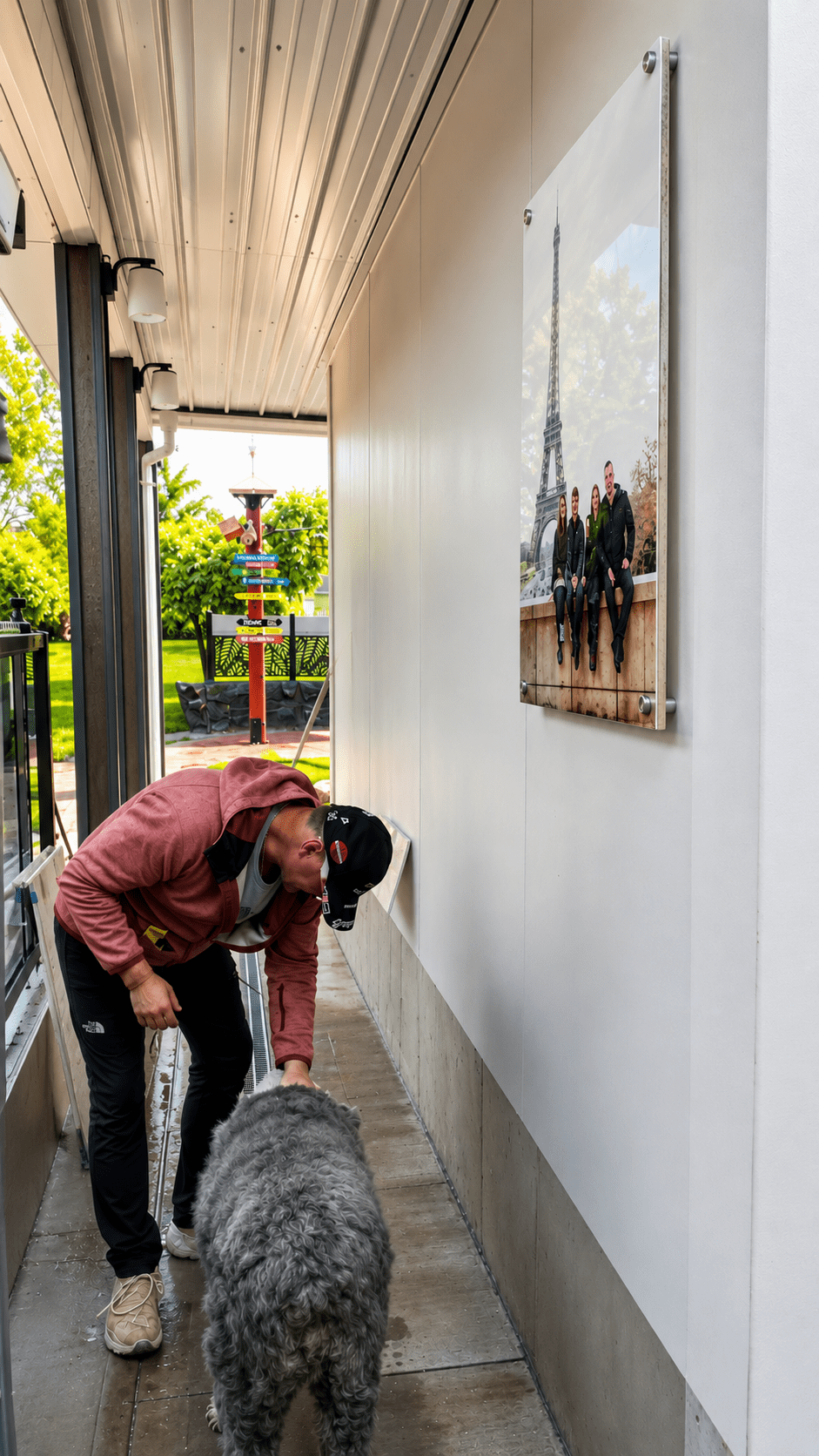 Sheepdog Sam inspecting the gallery install
