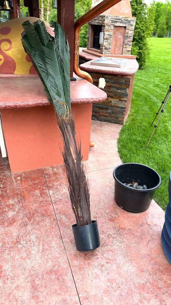 Artificial palm tree laying on stamped concrete patio next to empty planter, ready for assembly